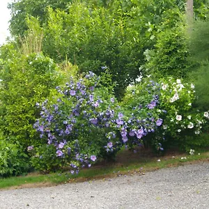  Bed & Breakfast D'hotes La Loubatais